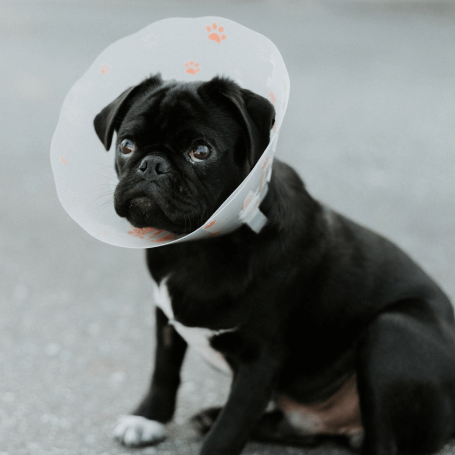 Advanced Surgical Services
